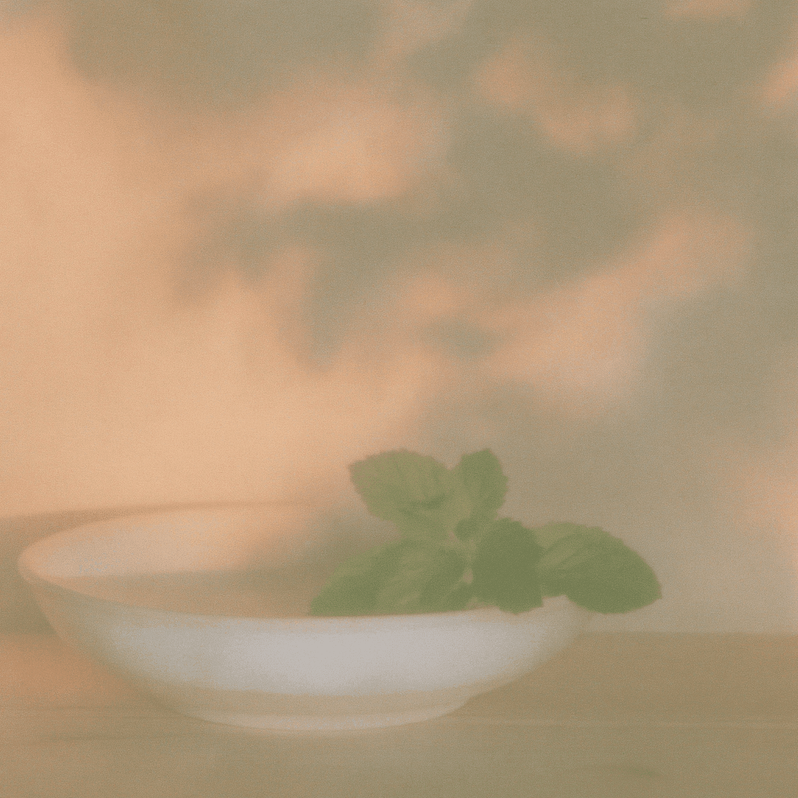 A minimalist still life of a single white ceramic bowl with mint, evoking the foundational baseline of the Core Microbiome test