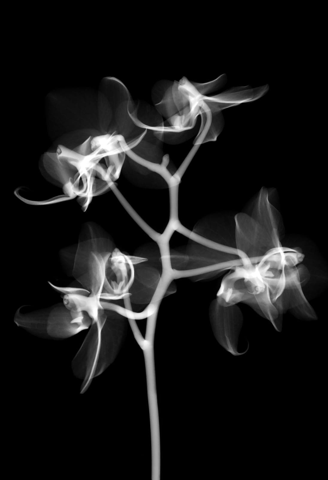 X-ray imaging