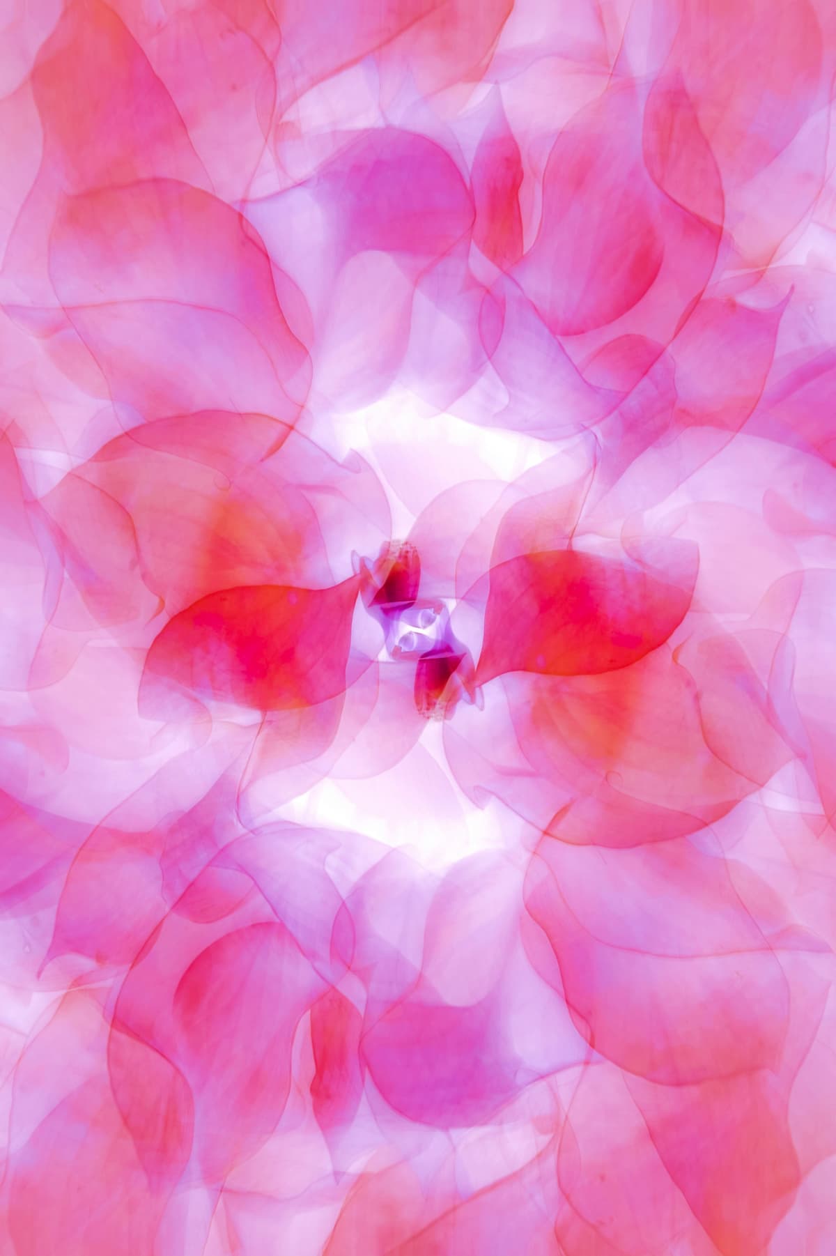 DEXA bone density scanning