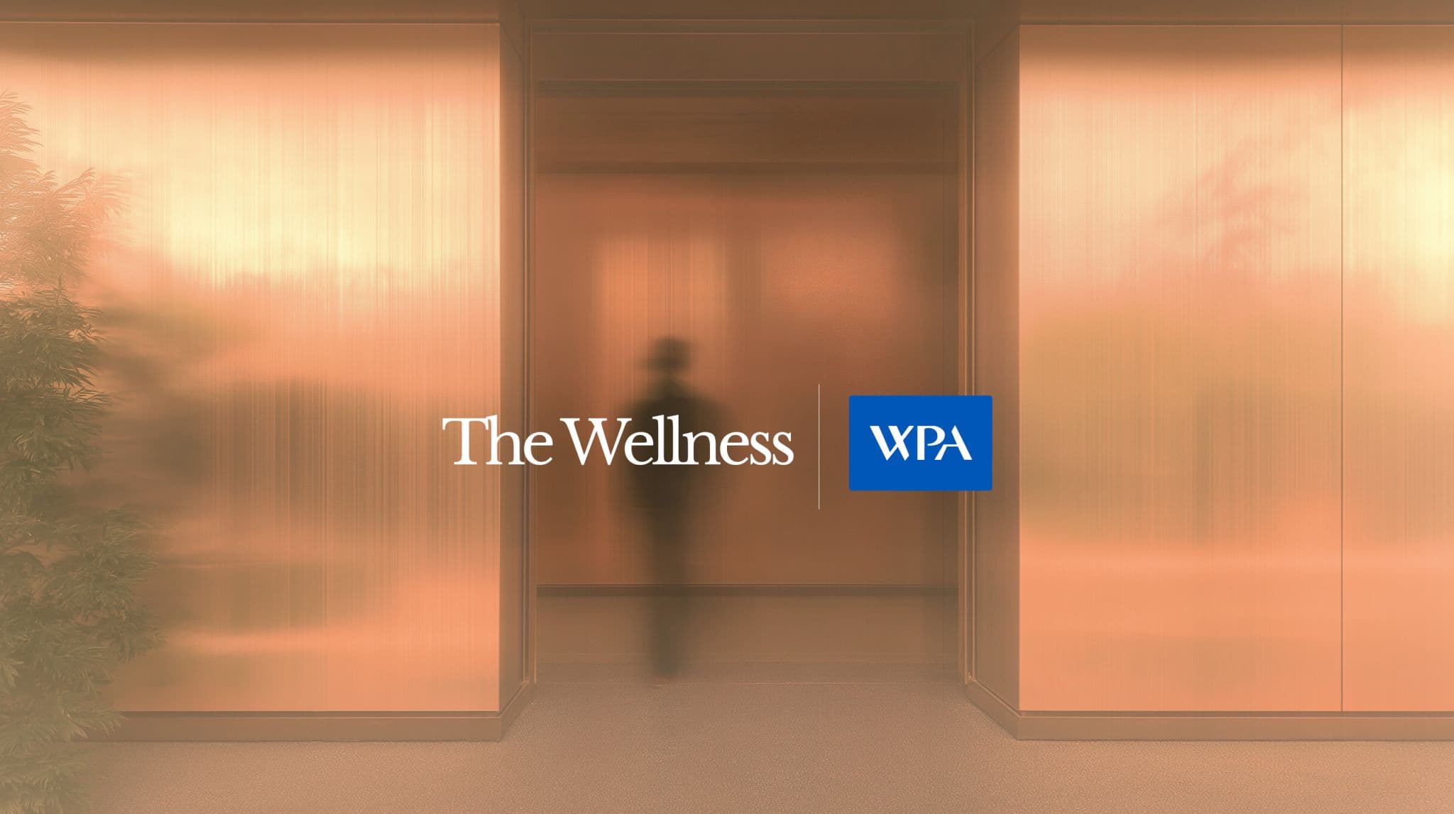 Medical consultation at The Wellness