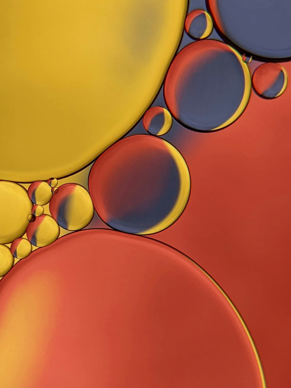 Diagnostics and screening services illustration