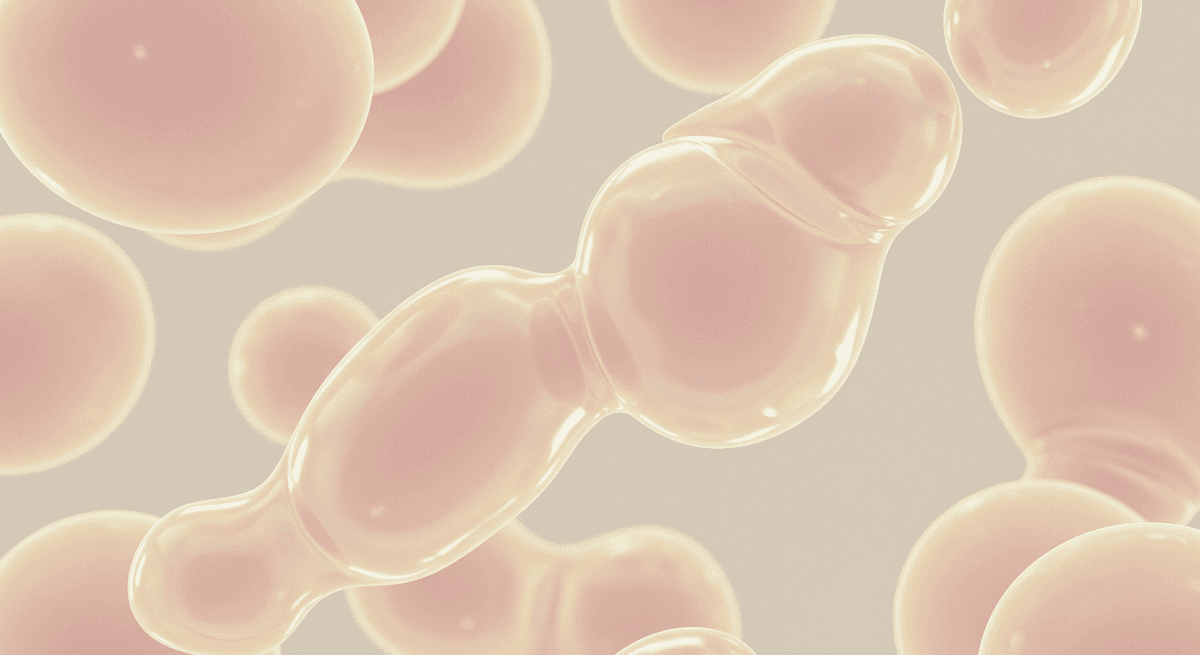 Specialist clinics and expert care