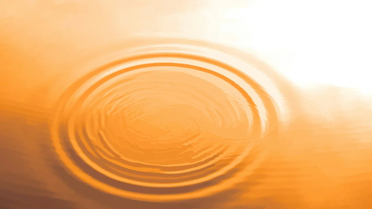 Rings spreading across water lit amber by the setting sun