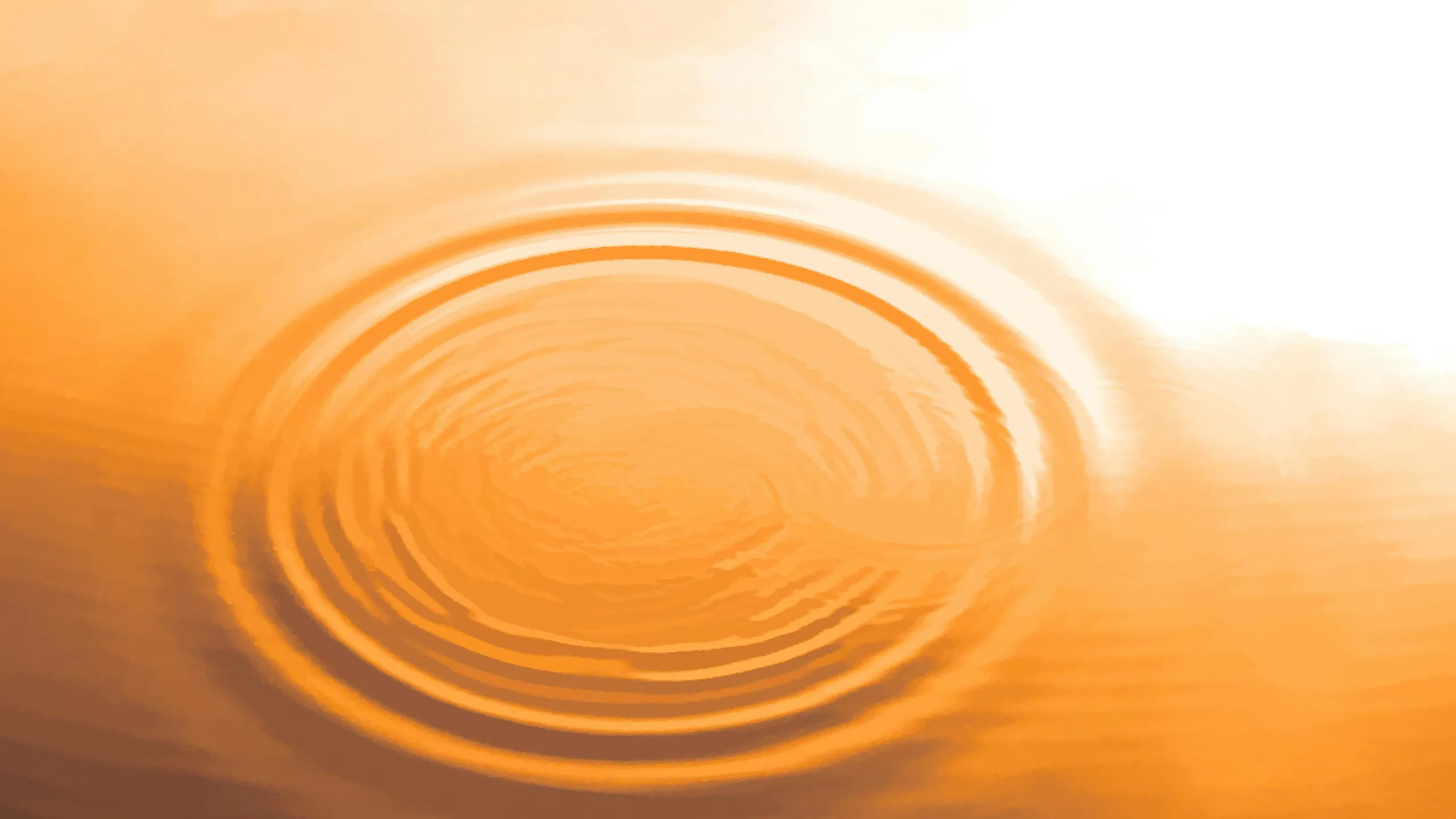 Rings spreading across water lit amber by the setting sun