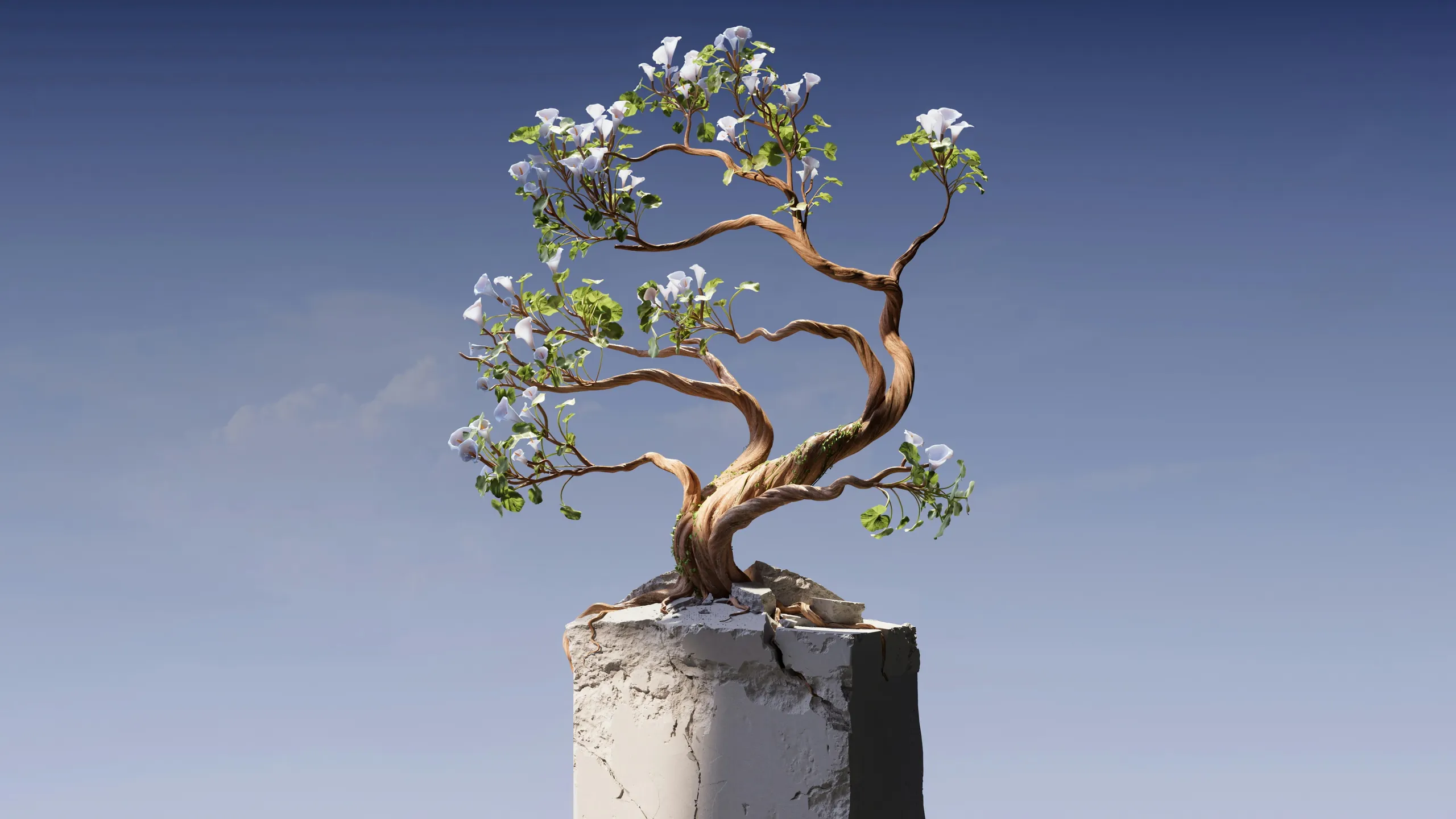 A flowering bonsai growing from a block of stone against a clear blue sky