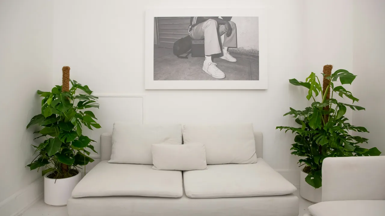 A calm white room with a sofa, a framed print and two green plants