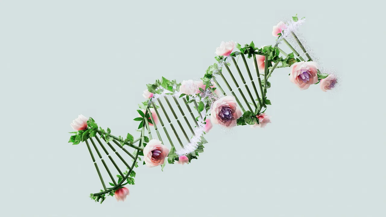 A strand of DNA garlanded with blossom, drifting across a pale grey ground