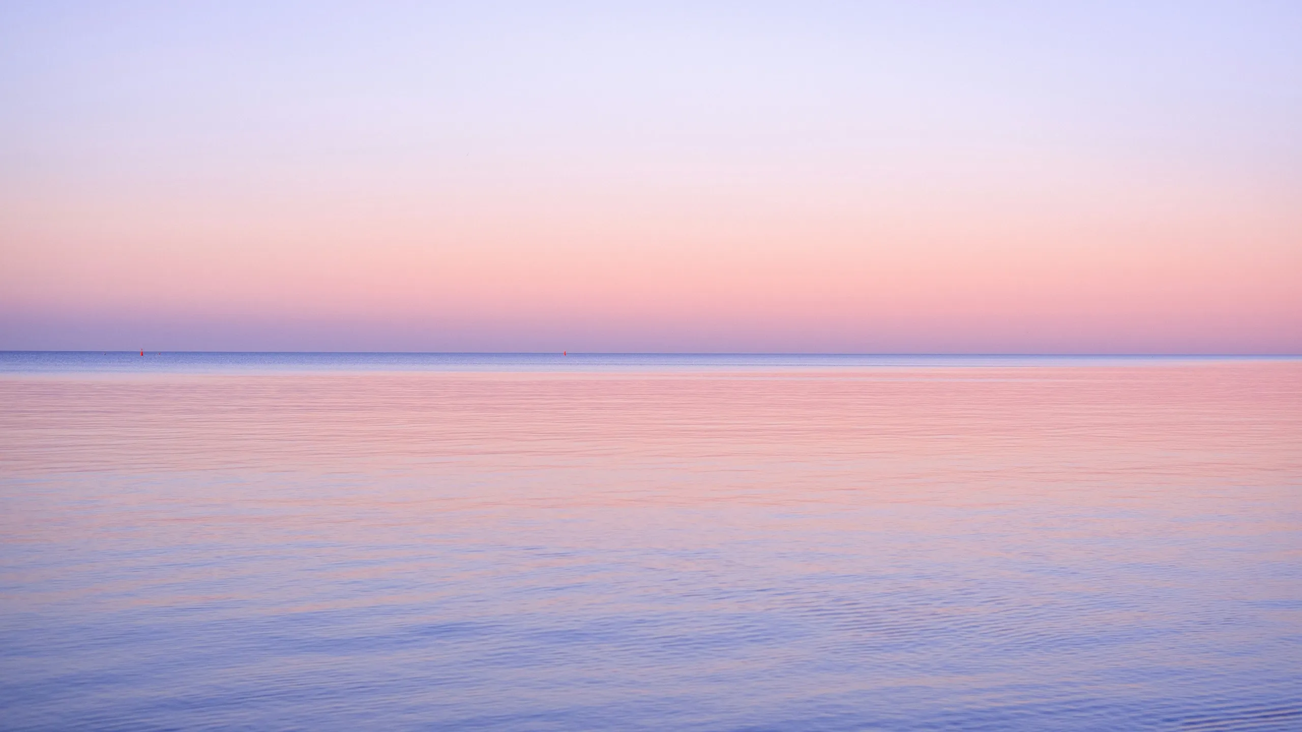 Still water reflecting a soft pink and lilac sky