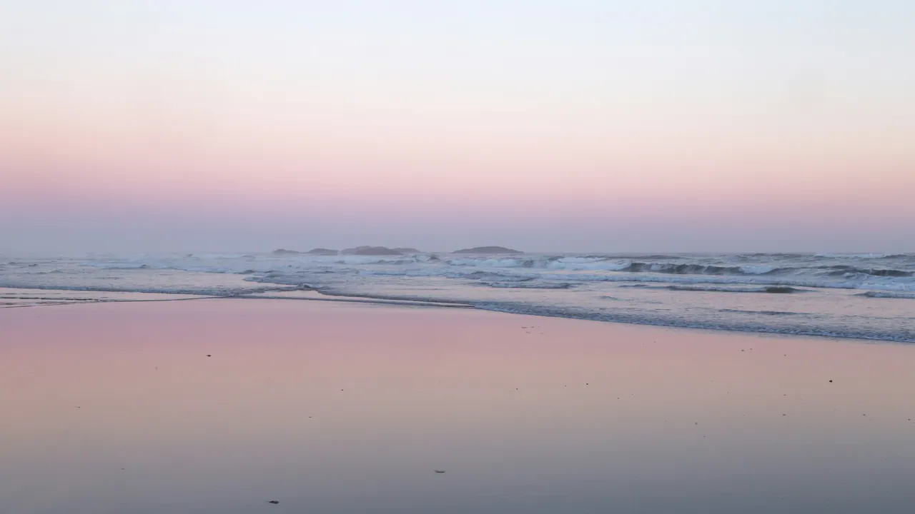 A misty shoreline at dawn in pale pink and grey