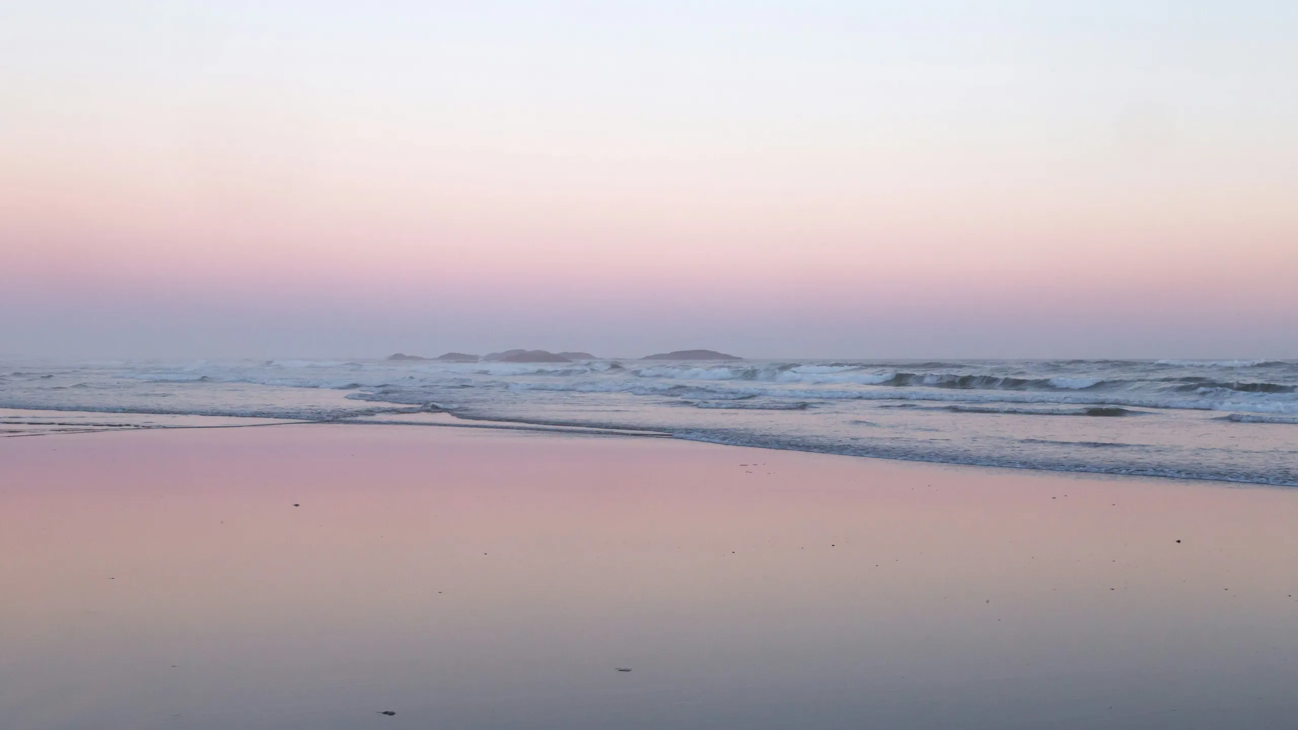 A misty shoreline at dawn in pale pink and grey