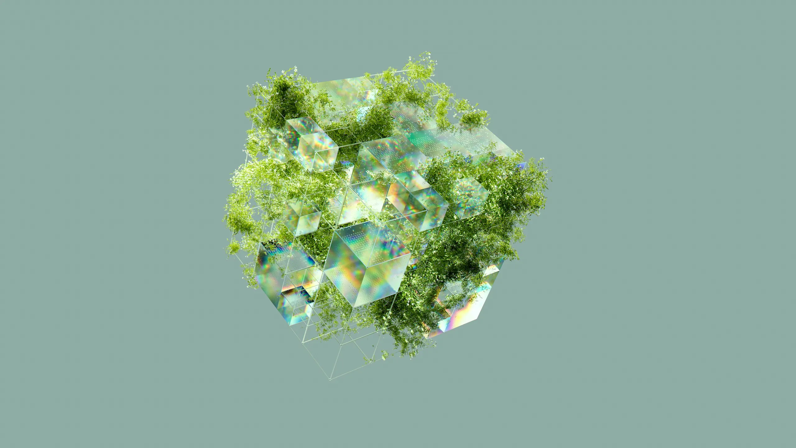 A small world of moss and green growth floating on a sage ground