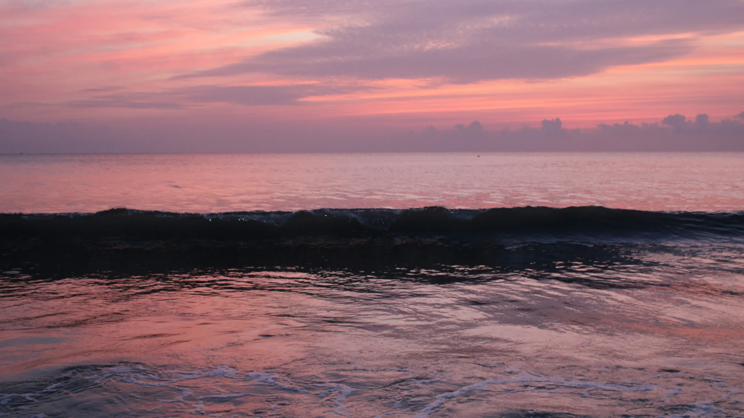 A gentle wave breaking under a pastel pink sky