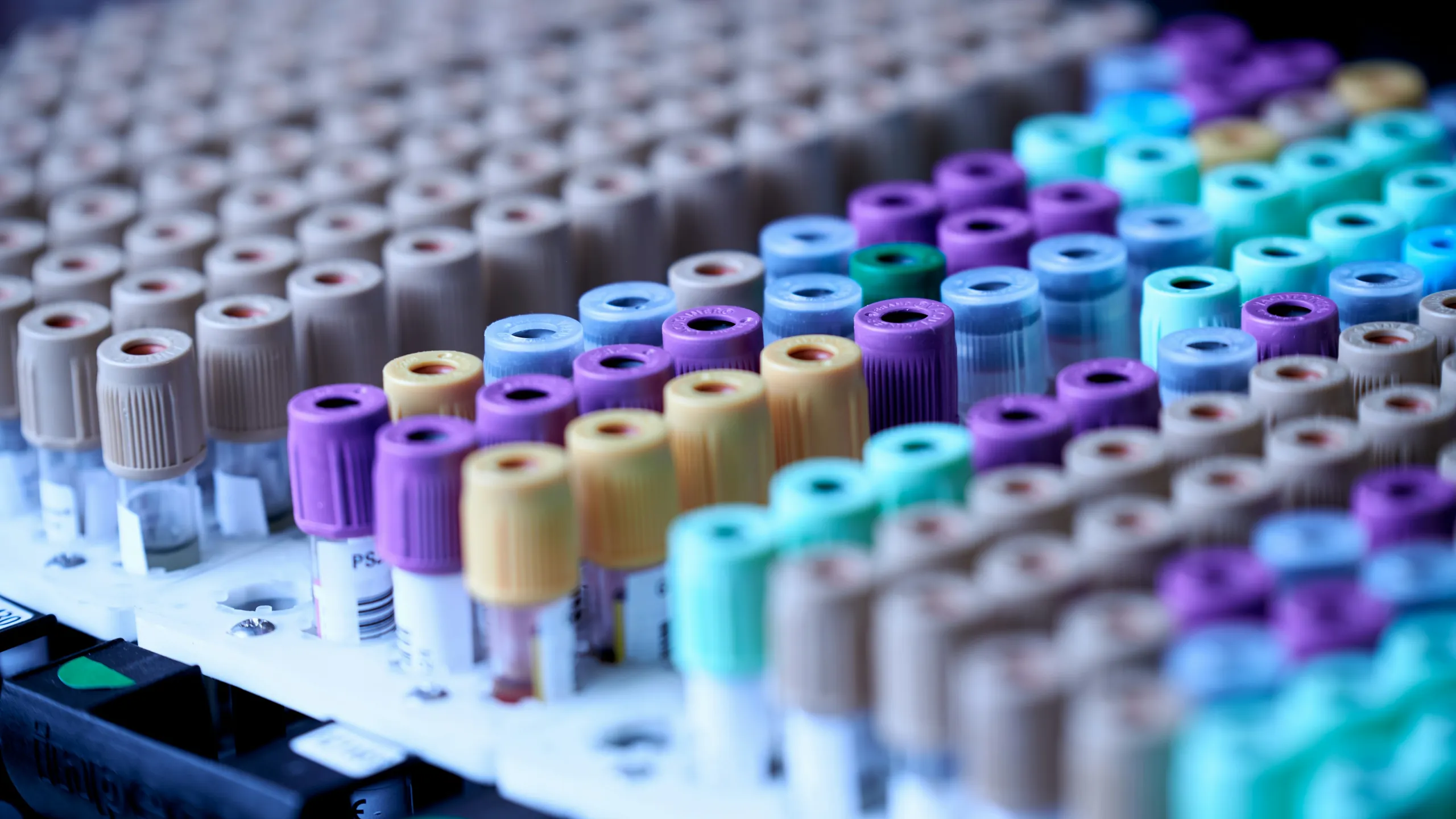 Rows of capped blood collection tubes in a laboratory rack