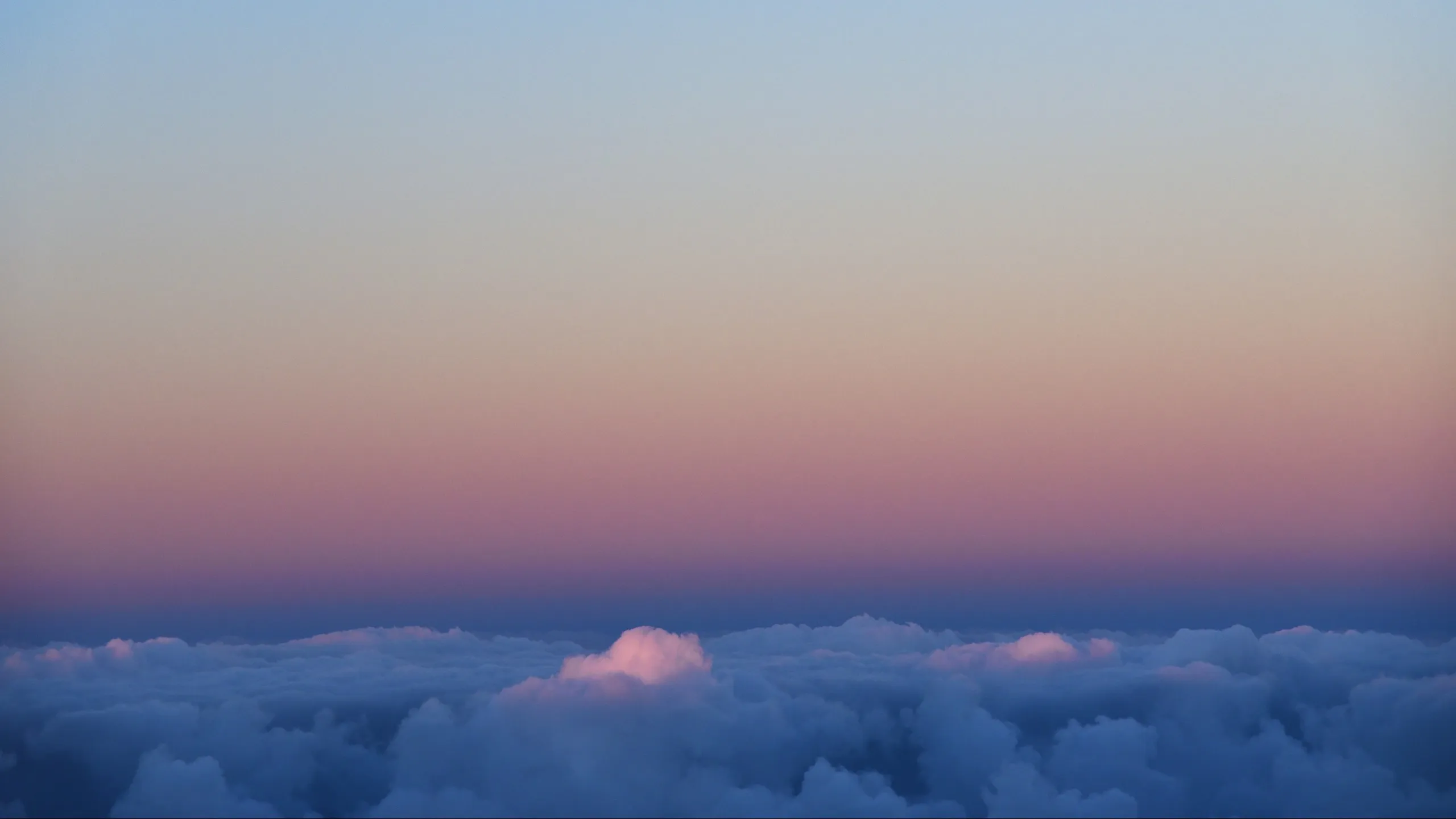 A sea of soft cloud under a pale pink and blue dawn sky