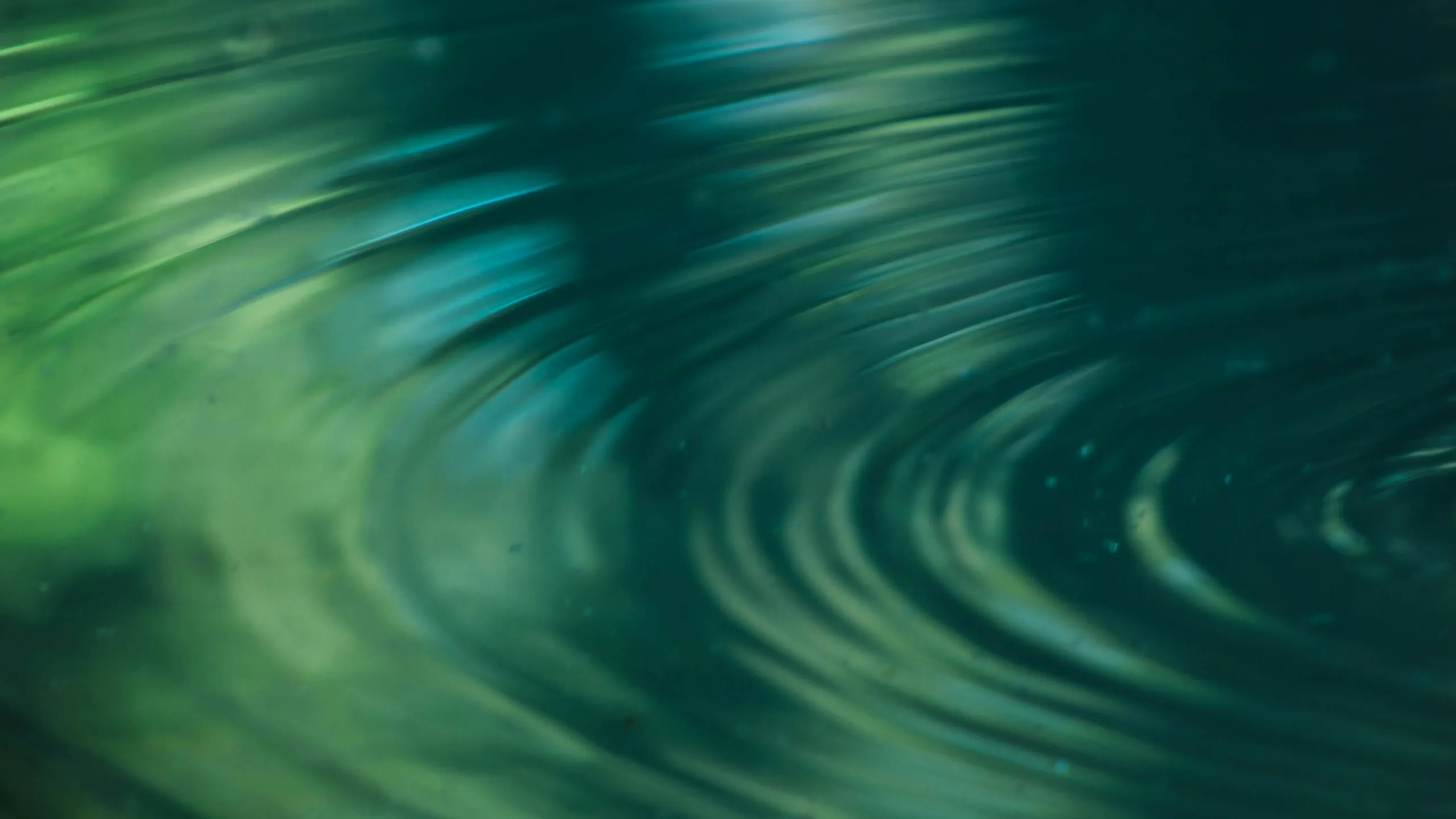 Concentric ripples moving across dark green-blue water