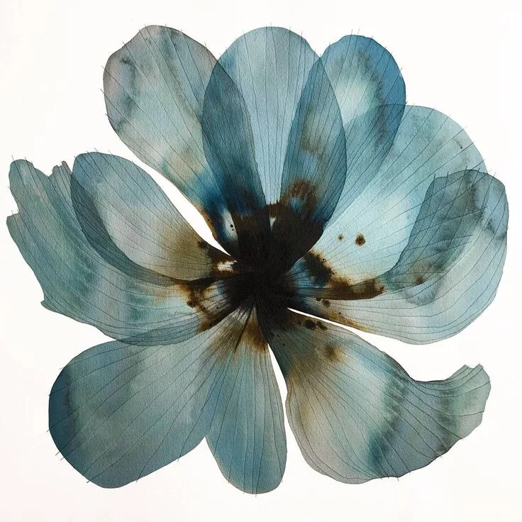 A pressed flower on pale paper